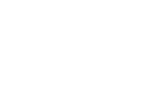 Body Solid